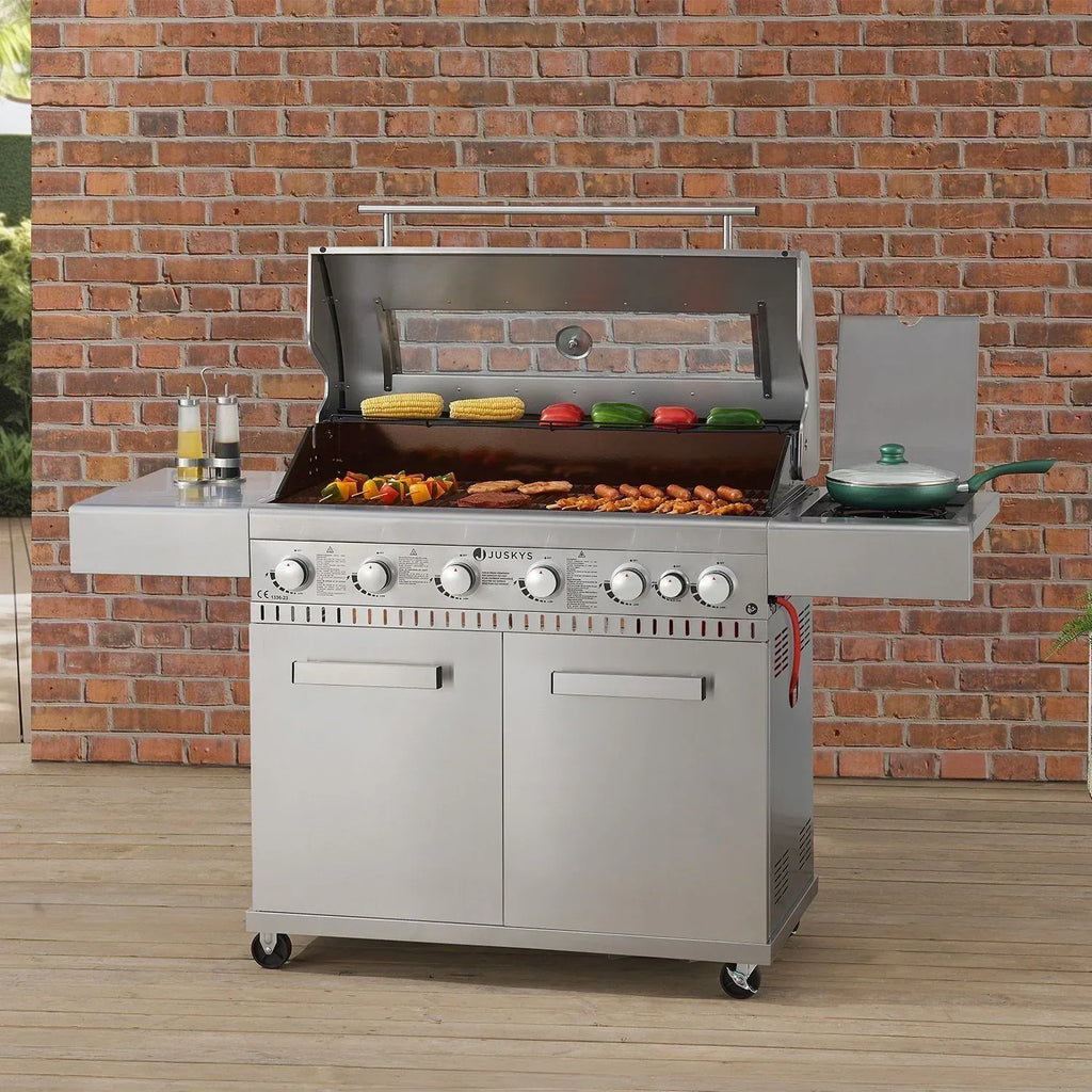 2026 Barbacoa gazowa Minnesota