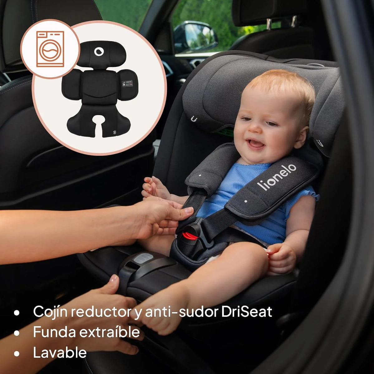 LIONELO Bastiaan RWF i-Size Obrotowy Fotelik Samochodowy 360° 0-36kg, Montaż Przodem i Tyłem do Kierunku Jazdy (18kg), ISOFIX TopTether, Regulowany Zagłówek i Oparcie, Ochrona Boczna